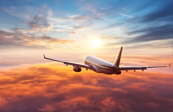Navigating the United Cancellation Policy: Your Stress-Free Guide to Flight Changes